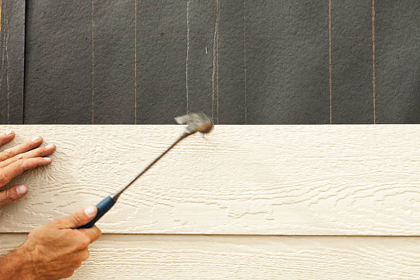 Best Vinyl Siding Installation  in St Simons, GA